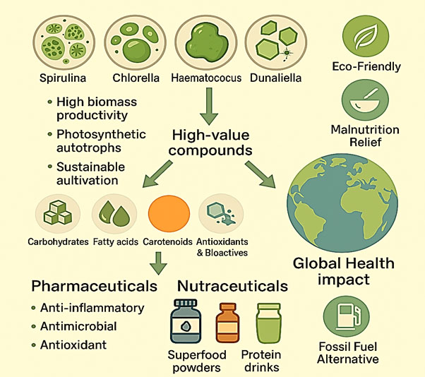 Graphical Abstract